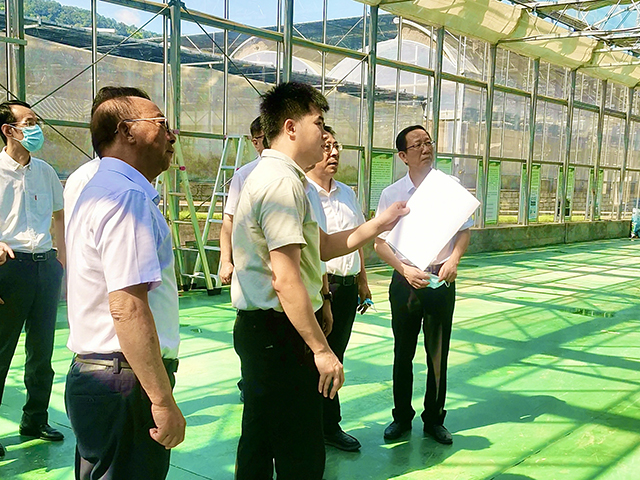 李建成副省長和謝華安院士等領(lǐng)導(dǎo)調(diào)研萬賓水稻表型分析平臺(圖1)