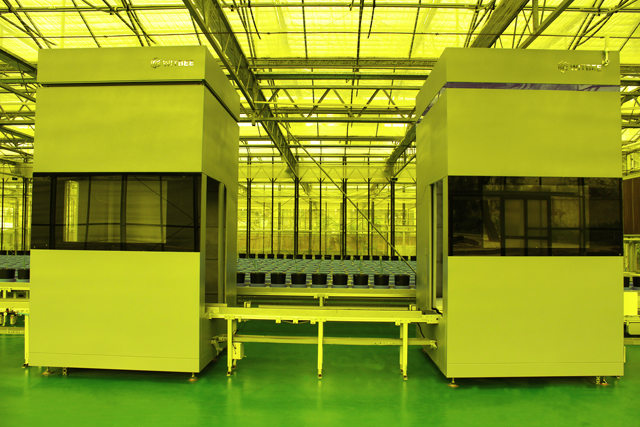 李建成副省長和謝華安院士等領(lǐng)導(dǎo)調(diào)研萬賓水稻表型分析平臺(圖4)