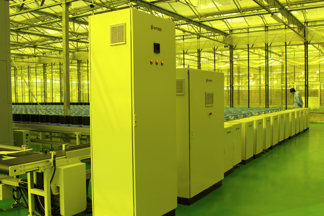 李建成副省長和謝華安院士等領(lǐng)導(dǎo)調(diào)研萬賓水稻表型分析平臺(圖5)